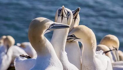 欢迎使用Z-BlogPHP！